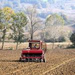 Büyükşehir'in hibeli tohumları toprakla buluştu