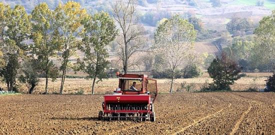 Büyükşehir'in hibeli tohumları toprakla buluştu