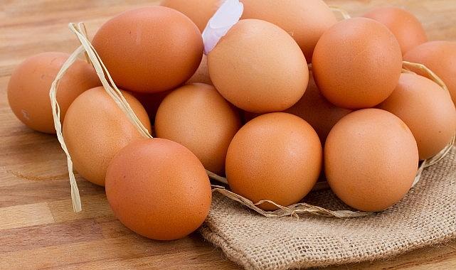 Yumurtaya getirilen 1,5 dolar fon aceleyle alınmış ihracatı durduracak bir karar Yumurtaya getirilen 1,5 dolar fon aceleyle alınmış ihracatı durduracak bir karar