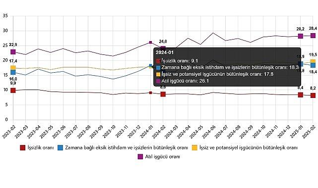 İşgücü İstatistikleri, Şubat 2025 İşgücü İstatistikleri, Şubat 2025