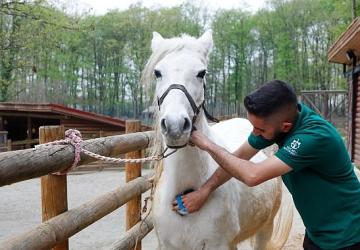 Bayramda doğanın kalbi Ormanya'da atacak