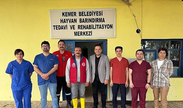 Satın alma sahiplen Satın alma sahiplen