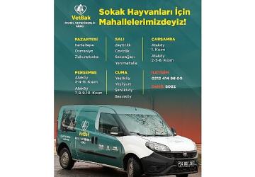 “Vetbak" patili dostların yanında olmaya devam ediyor