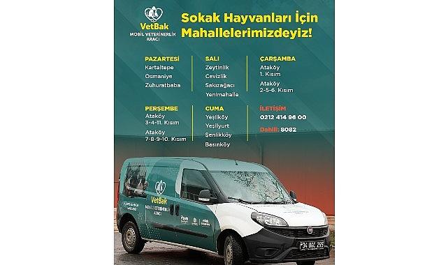 “Vetbak" patili dostların yanında olmaya devam ediyor