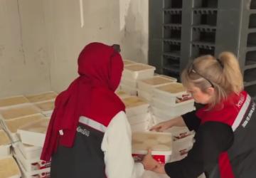 Tarihi Gıda Denetimi: Bayrampaşa’da 35 Ton Peynir Toplatıldı