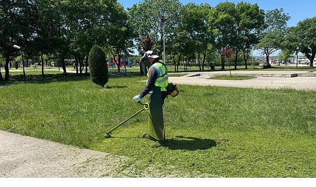 Kartepe'de Yeşil Alanlara Düzenli Bakım Kartepe'de Yeşil Alanlara Düzenli Bakım