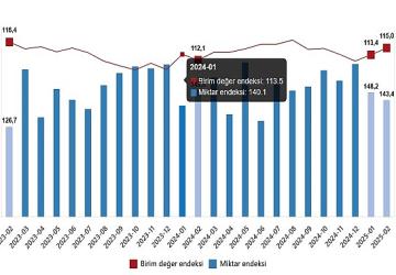 Dış Ticaret Endeksleri, Şubat 2025