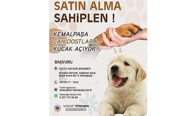 Türkmen: “Can dostlarımıza yuva olmak hepimizin sorumluluğu" Türkmen: “Can dostlarımıza yuva olmak hepimizin sorumluluğu"