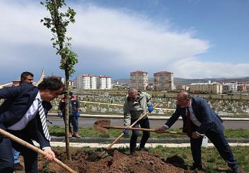 Minik Meleklerin Mezarlarında Anlamlı Düzenleme
