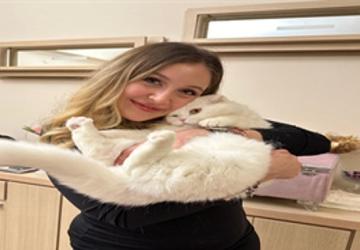 Dünya Veteriner Hekimler Günü'nde İzmirli veteriner hekimlerden çağrı