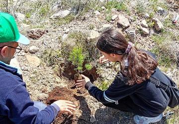 Selçuklu'da Yeşil Doku Güçlenmeye Devam Ediyor