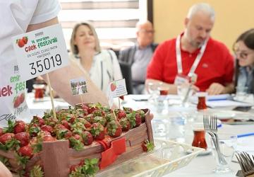 Menemen'de festival coşkusu yaşanacak