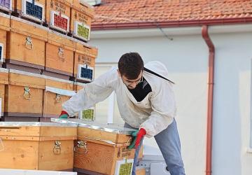 Arılı Kovan Desteği Projesi'nin 3. Yılında Üreticilere Arı ve Kovanları Dağıtıldı