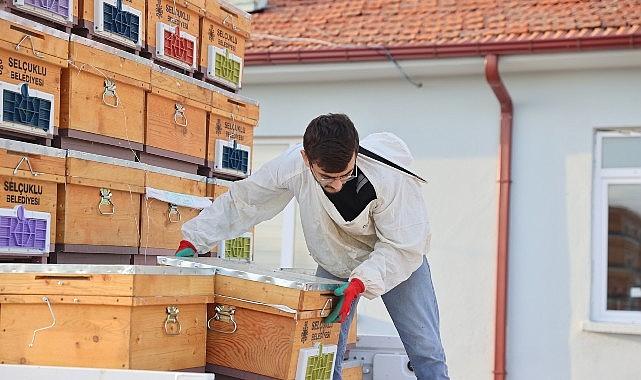 Arılı Kovan Desteği Projesi'nin 3. Yılında Üreticilere Arı ve Kovanları Dağıtıldı Arılı Kovan Desteği Projesi'nin 3. Yılında Üreticilere Arı ve Kovanları Dağıtıldı