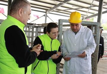 TSE'den Büyükşehir mezbahasına tam not