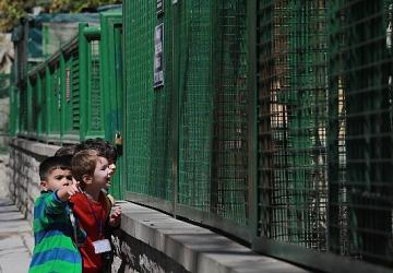 Minikler Can Dostlarla Tanıştı