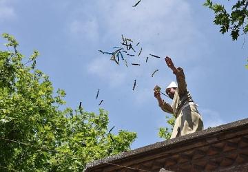 Festival'in Renkleri Fotoğraf Karelerinde Hayat Bulacak