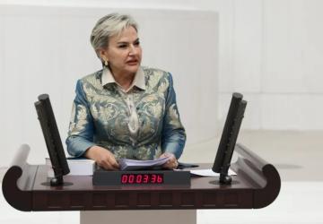 CHP'li Özdemir, Bakan Memişoğlu'na 'Medikal Estetik' Konusunda Sorular Yöneltti