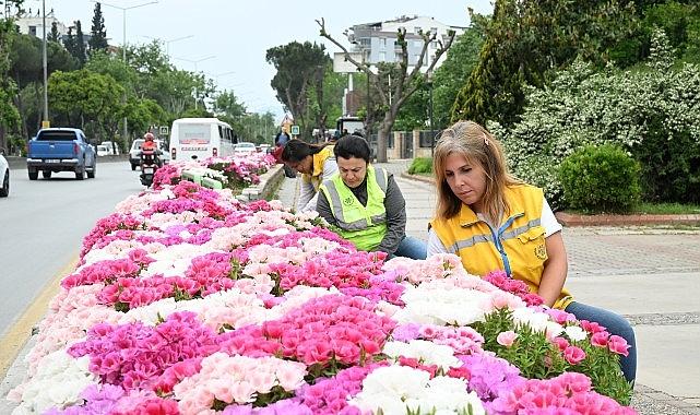 Başkan Çerçioğlu Efeler'i Bahar Çiçekleri ile Süsledi