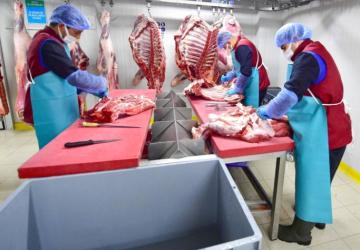 İZTARIM, Yerli ve Sağlıklı Eti Sofralara Getiriyor
