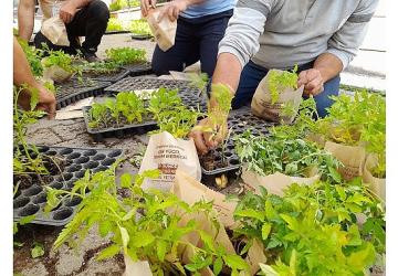 Seferihisar Belediyesi Tohum Takas Şenliği'ne hazırlanıyor