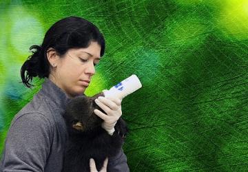 'Tampa'nın Sırları: Vahşi Taraf', 5 Mayıs Pazartesi Günü 20.00'de National Geographic WILD Ekranlarında!