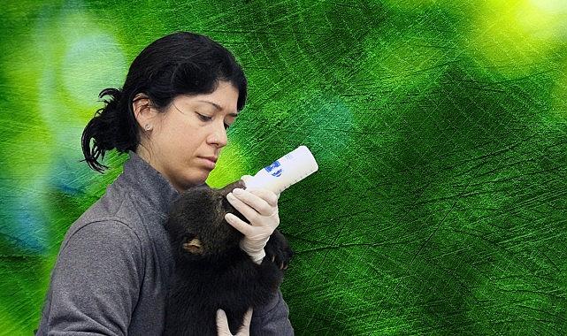 'Tampa'nın Sırları: Vahşi Taraf', 5 Mayıs Pazartesi Günü 20.00'de National Geographic WILD Ekranlarında! 'Tampa'nın Sırları: Vahşi Taraf', 5 Mayıs Pazartesi Günü 20.00'de National Geographic WILD Ekranlarında!