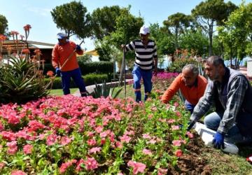 Antalya Muratpaşa: Renkli Etkinliklerle Şehri Süsleyecek