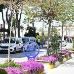 Aydın Büyükşehir Belediyesi'nden Kuşadası'nda Kapsamlı Çalışma