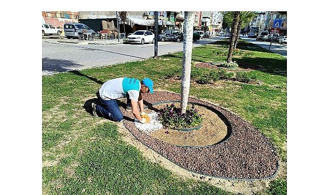 Yeşil Alanlara Estetik Dokunuş Yeşil Alanlara Estetik Dokunuş