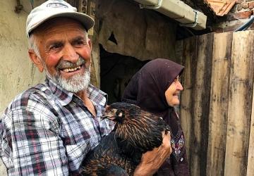 Üreticiye yüzde 50 hibeli yumurta tavuğu desteği