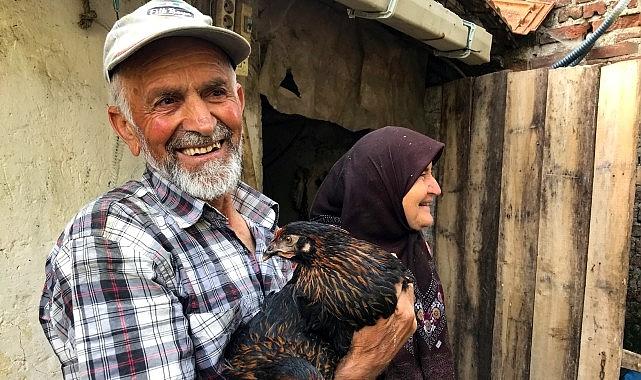 Üreticiye yüzde 50 hibeli yumurta tavuğu desteği Üreticiye yüzde 50 hibeli yumurta tavuğu desteği