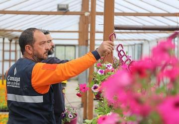 Çansera'nın Yazlık Çiçekleri Çankaya'yı Süsleyecek