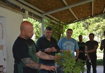 “Doğadan Sanata Sanattan Şehre"