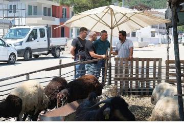 Kurban satış alanlarında denetim
