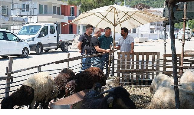 Kurban satış alanlarında denetim Kurban satış alanlarında denetim