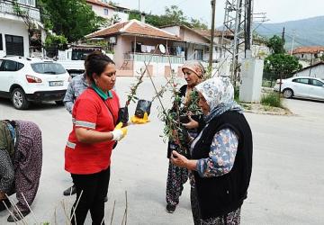 Karşıyaka Belediyesi'nden Sancaklı'da fidan dayanışması