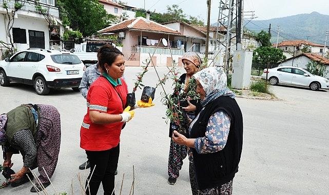 Karşıyaka Belediyesi'nden Sancaklı'da fidan dayanışması