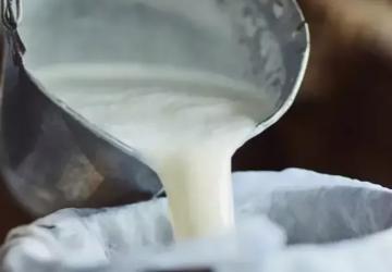 Şubat’ta Süt Üretimi Azaldı, Ayran ve Kefirde Artış Yaşandı