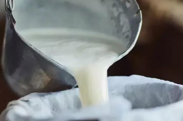 Şubat’ta Süt Üretimi Azaldı, Ayran ve Kefirde Artış Yaşandı Şubat’ta Süt Üretimi Azaldı, Ayran ve Kefirde Artış Yaşandı