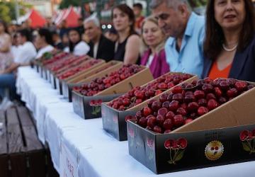 52'nci Altın Kiraz Kültür ve Sanat Festivali Coşkuyla Kutlandı