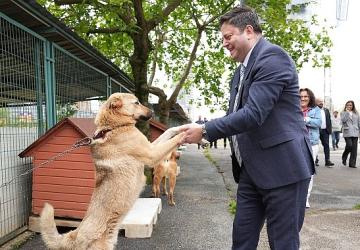 Kadıköy Belediyesi Geçici Hayvan Bakımevi Yenilendi