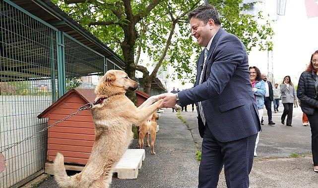Kadıköy Belediyesi Geçici Hayvan Bakımevi Yenilendi Kadıköy Belediyesi Geçici Hayvan Bakımevi Yenilendi