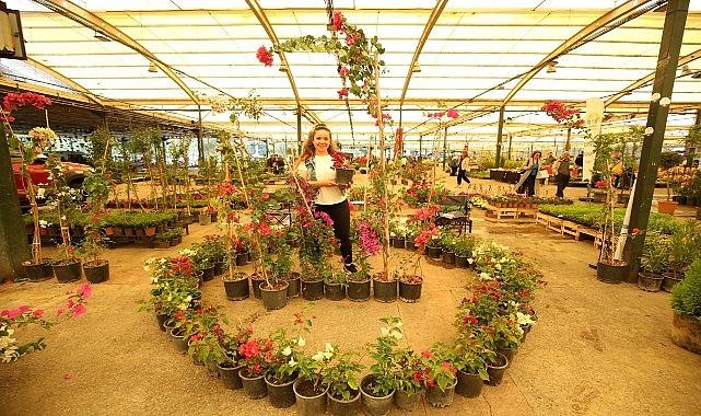 Yılın en renkli festivali 16 Mayıs'ta başlıyor!