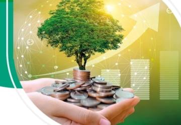 Bankalar Yeşil Varlıklarını Raporlamaya Başlıyor