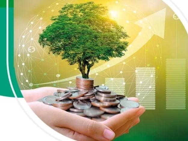 Bankalar Yeşil Varlıklarını Raporlamaya Başlıyor Bankalar Yeşil Varlıklarını Raporlamaya Başlıyor