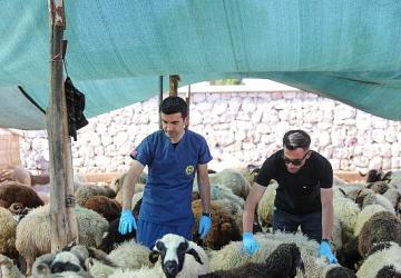 Buca'da Kurban Bayramı öncesi sıkı denetim