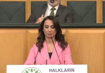 DEM Parti'den 'Barış Komisyonu' çağrısı: ‘TBMM'de tam yetkili bir komisyona ihtiyaç var’