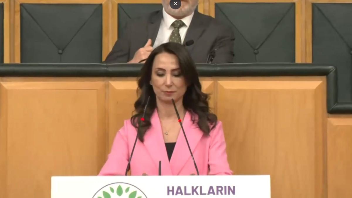 DEM Parti'den 'Barış Komisyonu' çağrısı: ‘TBMM'de tam yetkili bir komisyona ihtiyaç var’ DEM Parti'den 'Barış Komisyonu' çağrısı: ‘TBMM'de tam yetkili bir komisyona ihtiyaç var’