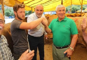 Canik'te Kurbanlıklar Görücüye Çıktı